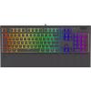 Endorfy Omnis Pud Kailh BR RGB [EY5A032]