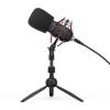 Mikrofon Endorfy Solum Streaming T [EY1B003]