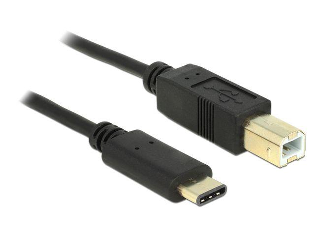 Delock kabel USB-C Type-C / USB-B (M) (2m) [83330]