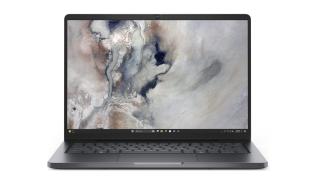 DELL Pro 14 PC14250 14inch FHD+ Core 3 100U 8GB 512GB SSD FPR BK W11P 3YPS Magnetite [BTO003_PC14250_EMEA]