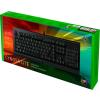 Razer Cynosa Lite (klawisze membranowe RGB) [RZ03-02740600-R3M1]