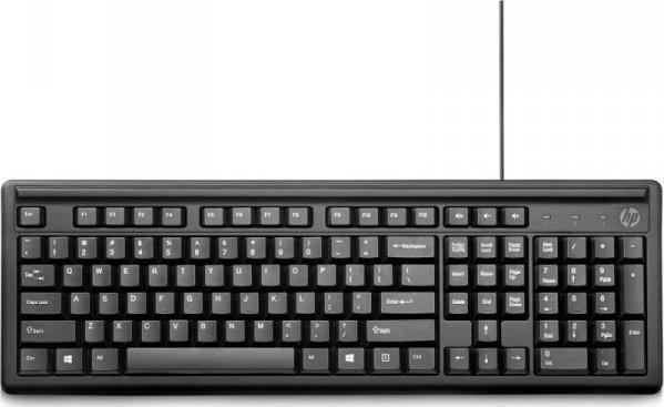 HP 100 Wireless (czarny) [2UN30AA]