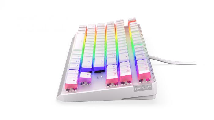 Endorfy Thock TKL OWH P. Kailh BL RGB [EY5A007]
