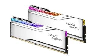DDR5 32GB (2x16GB) 6000 MHz G.Skill Trident Z5 Royal RGB Silver CL28 AMD EXPO 28-36-36-96 1.4V [F5-6000J2836G16GX2-TR5NS]