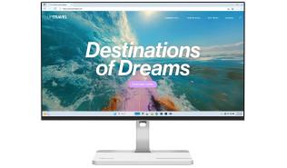 (24) 23.8 Lenovo ThinkVision L24D-4C [67DCUAC6EU]