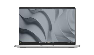 DELL Pro 16 PC16250 16inch FHD+ Core 5 120U 16GB 512GB SSD FPR BK W11P 3YPS Platinum [BTO010_PC16250_EMEA]