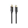 Gembird Kabel DisplayPort M / DisplayPort M Gold 4K v1.2 (5.0m) [CC-DP2-5M]