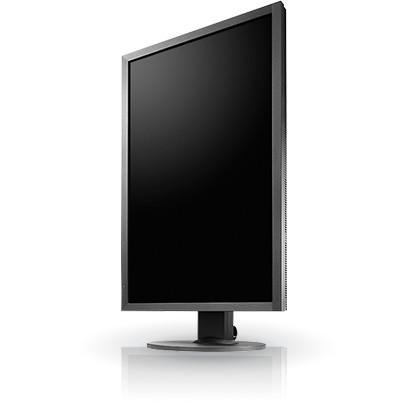 24’’ Eizo ColorEdge CS2420-BK (IPS LED, 1920x1200, 350, 15ms, 60Hz) (DVI, HDMI 1.4, DP 1.1) pivot, czarny