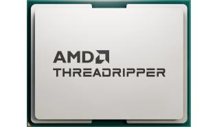 AMD Ryzen Threadripper 9960X 4.2/5.4GHz Tray (24 rdzenie / 48 wątków) (Socket sTR5, 350W) [100-000001595]