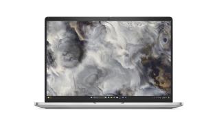 DELL Pro 16 Plus PB16250 16inch FHD+ Ultrs 7 255U 16GB 512GB SSD FPR SCR BK W11P 3YPS Aluminium [BTO105_PB16250_EMEA]