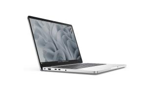 DELL Pro 14 6-Core AMD Ryzen AI 5 Pro 340 /14 1920x1200 matowa IPS 300nits / 16GB DDR5 (max 64GB) / 512GB / AMD Radeon 840M / pk białe / 1.36kg / Win11Pro (srebrny) [BTO601_PC14255_EMEA]