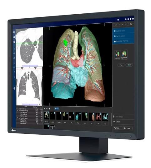 24’’ Eizo RadiForce MX243W-BK (IPS LED, 1920x1200, 320, 6ms, 60Hz) (DP, DVI, 2xUSB 2.0) czarny