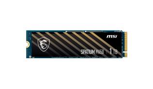 MSI Spatium M450 1TB SSD M.2 2280 PCIe Gen4x4 NVMe (3600/3000 MB/s) [S78-440L0M0-P83]