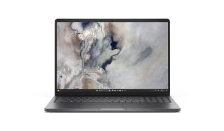 DELL Pro 16 PC16250 16inch FHD+ Intel Core 3 100U 8GB 512GB SSD FPR BK W11P 3YPS Platinum [BTO002_PC16250_EMEA]