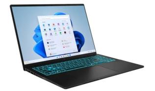 Asus V16 [V3607VH-RP011W] 8-Core Intel Core 5 210H /16 1920x1200 matowa 300nits 144Hz / 16GB (max 32GB) / 512GB / RTX5050 6GB / pk niebieskie / 1.95kg / Win11Home (czarny)