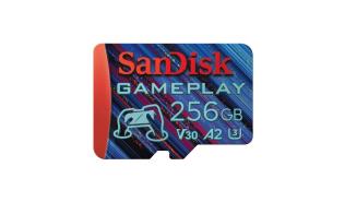 Secure Digital 256GB Sandisk Micro SDXC GamePlay UHS-I U3 V30 A2 C10 (190/130MB/s) [SDSQXAV-256G-GN6XN]