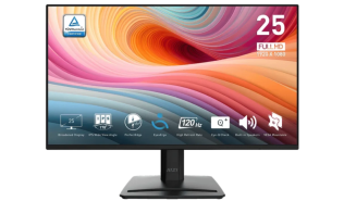 (25) 24.5 MSI PRO MP252 E2 (IPS LED, 1920x1080, 300, 4/1ms, 120Hz) (1xHDMI 1.4, 1xDP 1.2) głośniki (2x2W), czarny
