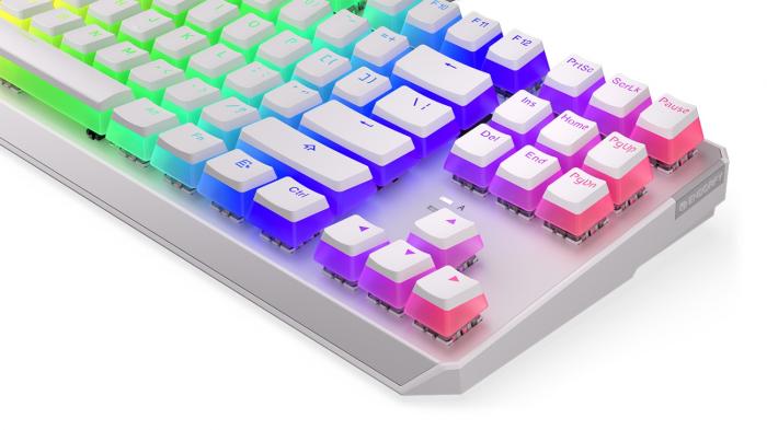Endorfy Thock TKL OWH P. Kailh BL RGB [EY5A007]