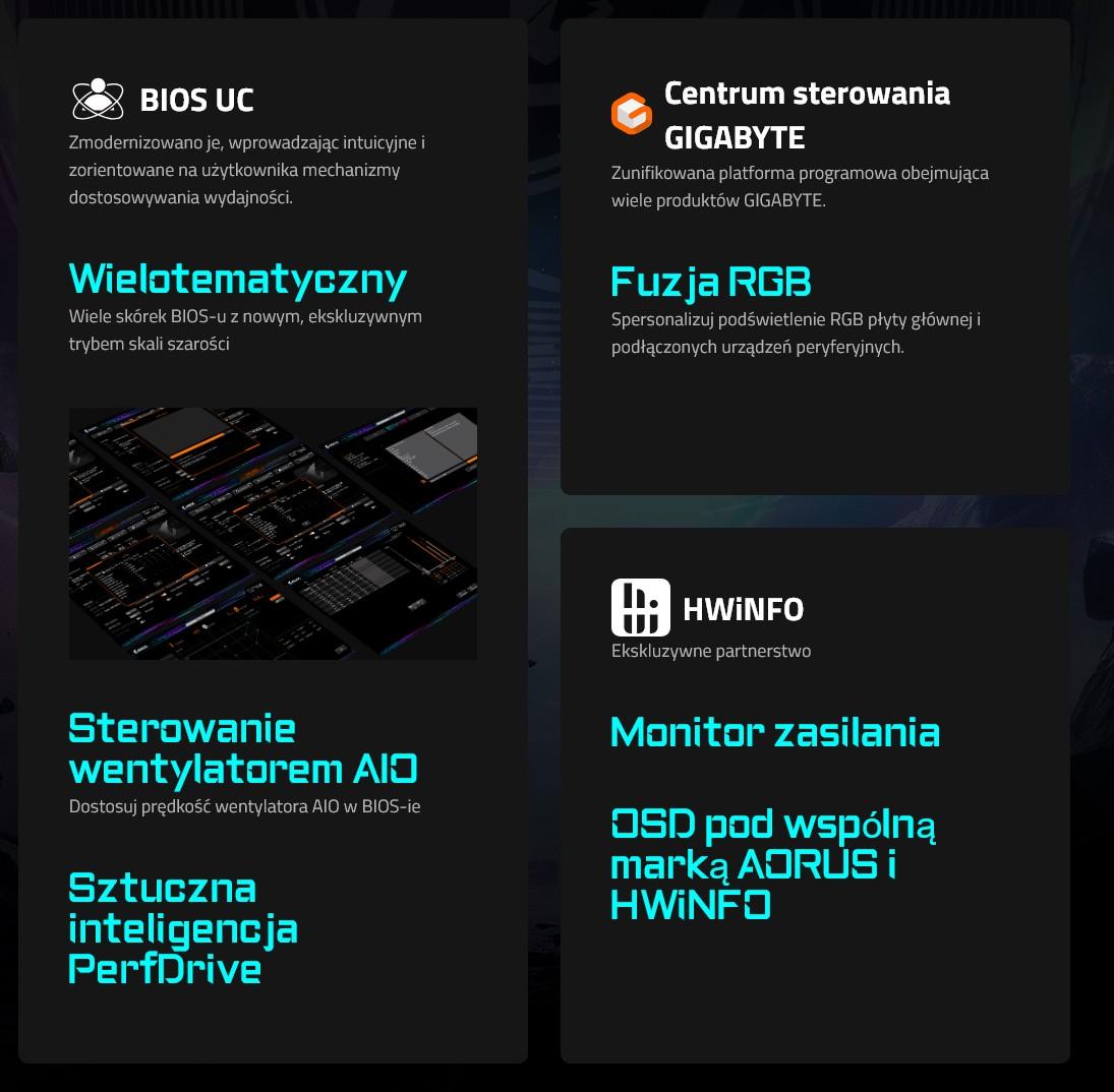 Opis11