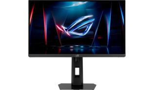 (24) 24.1 Asus ROG Strix XG248QSG