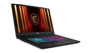 MSI Katana 17 B14WFK [B14WFK-400XPL] 16-Core Intel Core i7-14650HX /17.3 1920x1080 matowa IPS 144Hz / 16GB DDR5 (max 96GB) / 512GB / RTX5060 8GB / pk RGB / 75Wh / 2.7kg / brak systemu