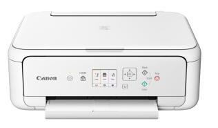 Canon Pixma TS5151 (biały)