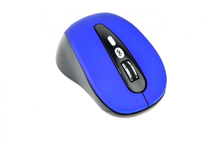 Gembird Wireless, Bluetooth BT 1600dpi (optyczna, 1, 6) (niebieski) [MUSWB-6B-01-B]