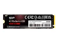 Silicon Power UD90 250GB SSD M.2 2280 PCIe Gen4x4 NVMe (4500/1950MB/s) [SP250GBP44UD9005]