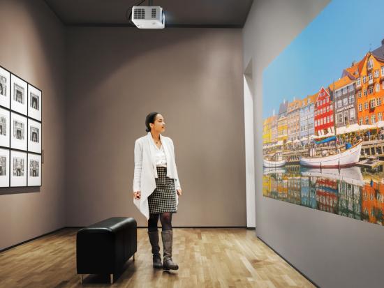 25-PRJ-LSD400HD-ST-Scenario Photo-Gallery_pc