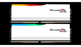 DDR5 64GB (2x32GB) 6000 MHz G.Skill Ripjaws M5 Neo RGB Silver CL36 AMD EXPO 36-36-36-96 1.35V [F5-6000J3636F32GX2-RM5NRW]
