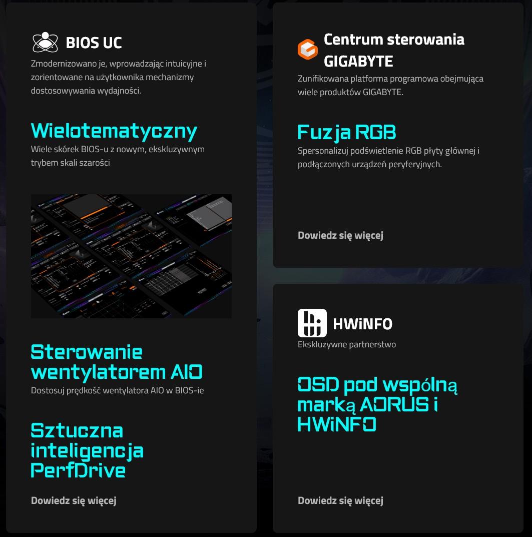 Opis11