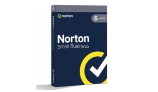 Norton Small Business 2.0 250GB PL 1 USER 6 DEVICE 12MO GENERIC MM [21455133]