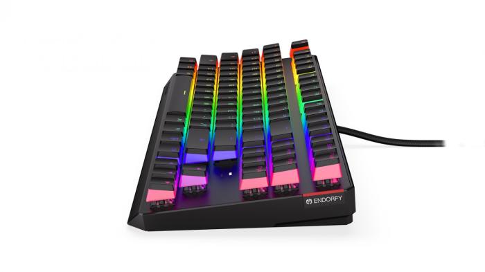 Endorfy Thock TKL Pud Kailh BR RGB [EY5A005]