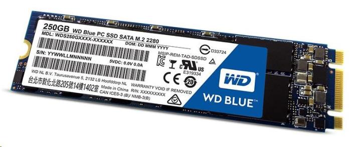 WD Blue 250GB SSD M.2 2280 SATA III (550/525MB/s) [WDS250G2B0B]