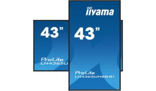 (43) 42.5 Iiyama ProLite LH4365UHSB-B1