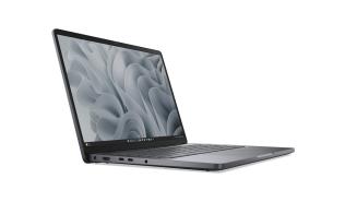 DELL Pro 14 6-Core AMD Ryzen 5 220 /14 1920x1200 matowa IPS 300nits / 16GB DDR5 (max 64GB) / 512GB / AMD Radeon 740M / pk białe / 1.36kg / Win11Pro (szary) [BTO504_PC14255_EMEA]