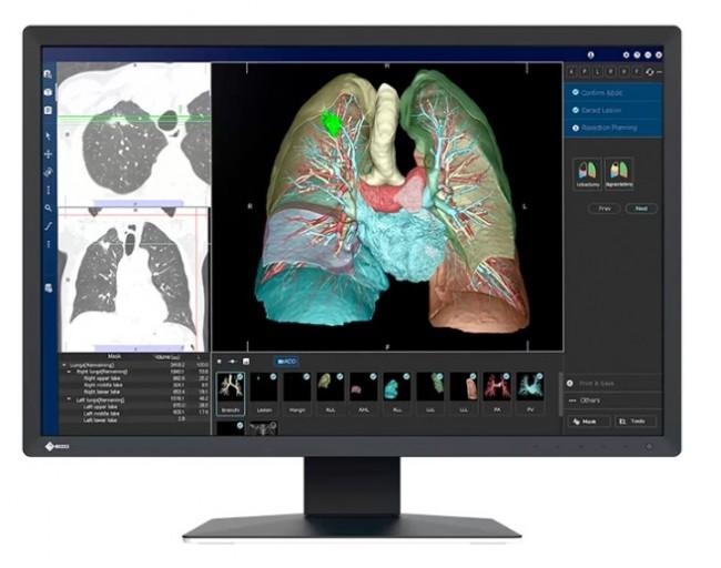 24’’ Eizo RadiForce MX243W-BK (IPS LED, 1920x1200, 320, 6ms, 60Hz) (DP, DVI, 2xUSB 2.0) czarny