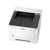 Kyocera Ecosys P2040dw