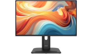 (24) 23.8 MSI PRO MP245PG E14 (IPS, 1920x1080, 300, 4ms, 100Hz) (1 x HDMI 1.2 / 1 x DisplayPort 1.2 / 1 x VGA)
