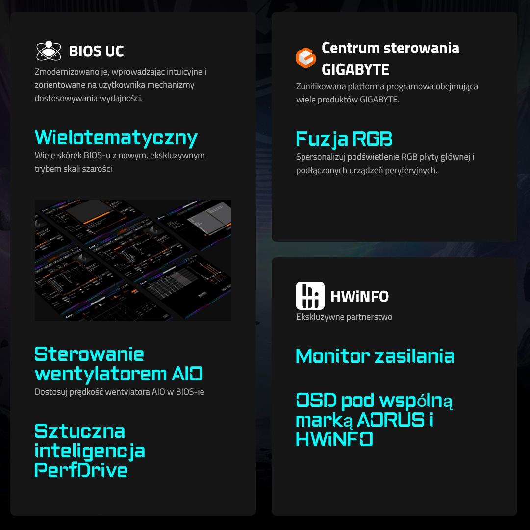 Opis11